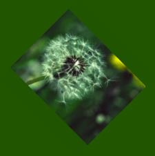 Eingepaßt und gedreht